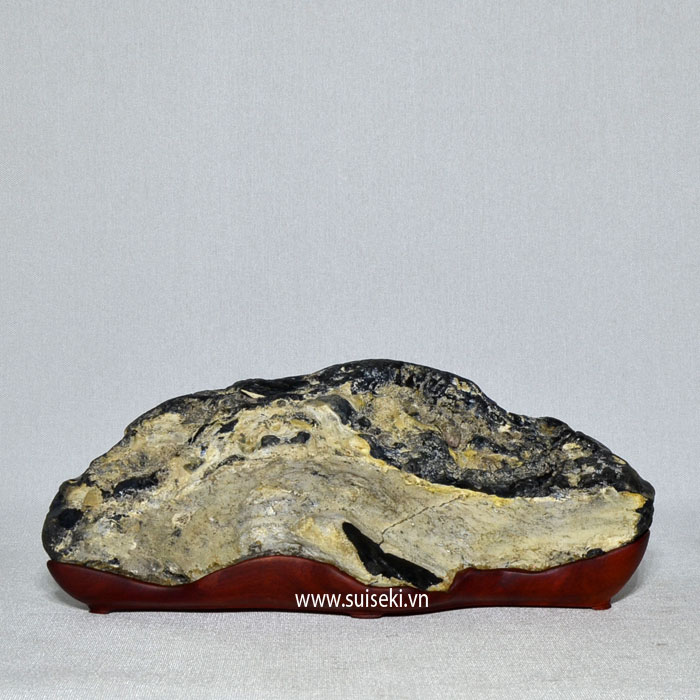 24suiseki1B17