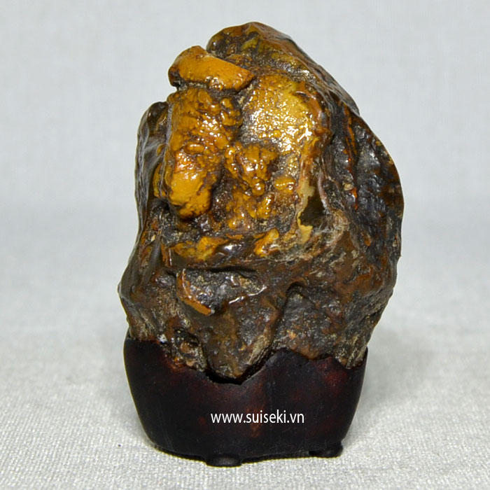6suiseki1B17T