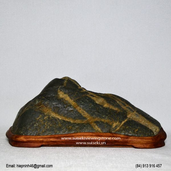 suiseki7A1815