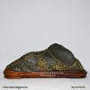 suiseki7A1815S